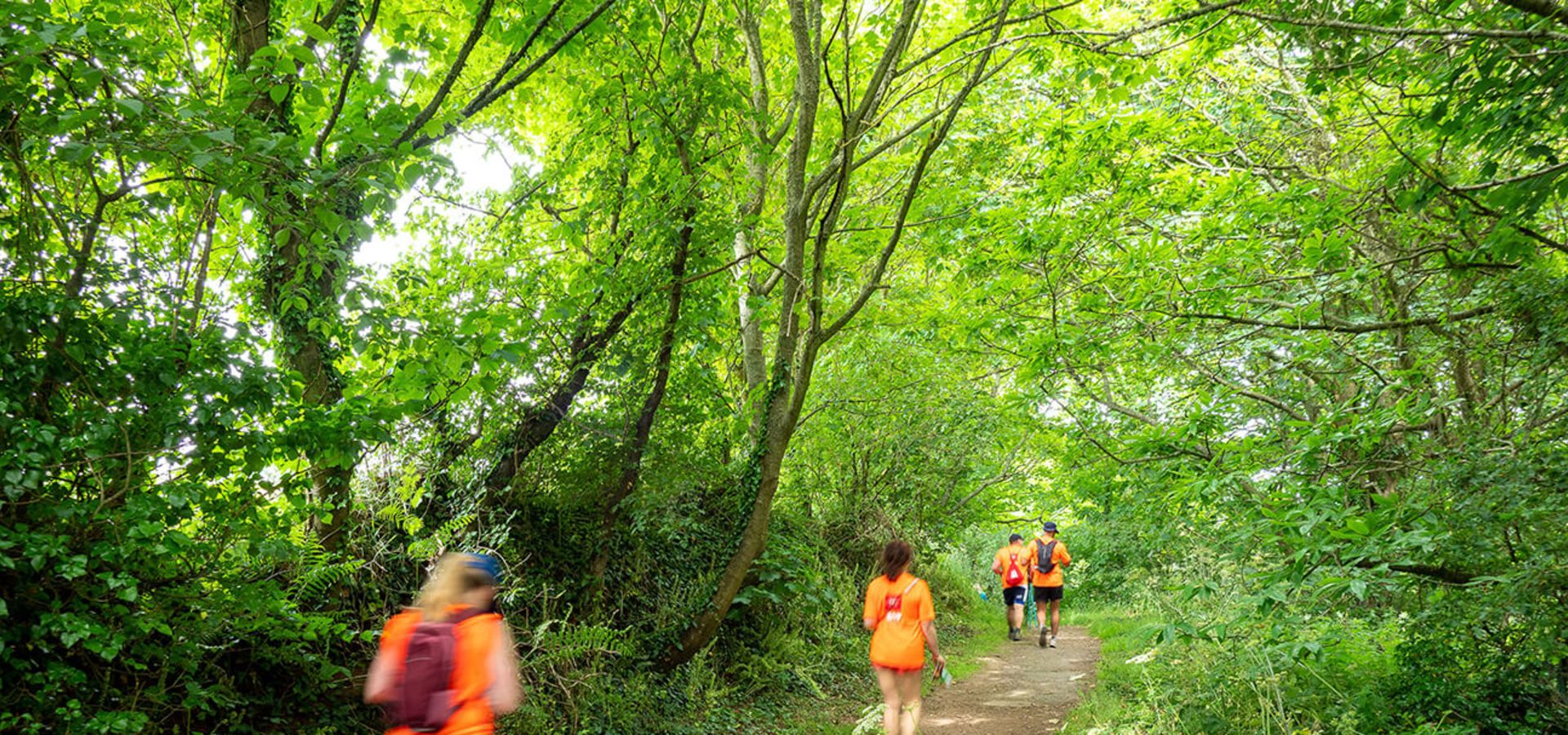 Island Walk 2023 Event Visit Jersey